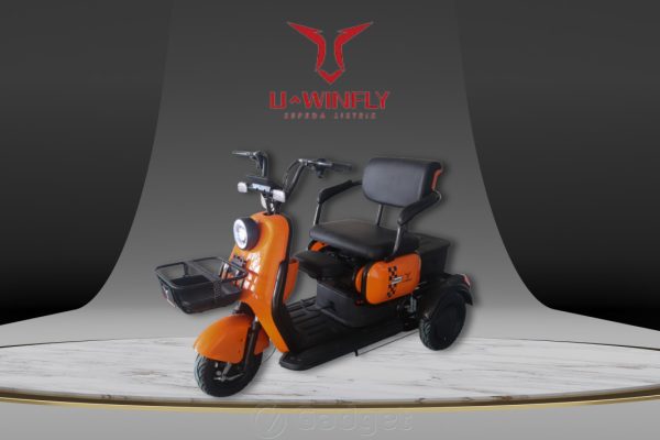 Sepeda Listrik Uwinfly Maleo: Solusi Ramah Lingkungan dan Praktis