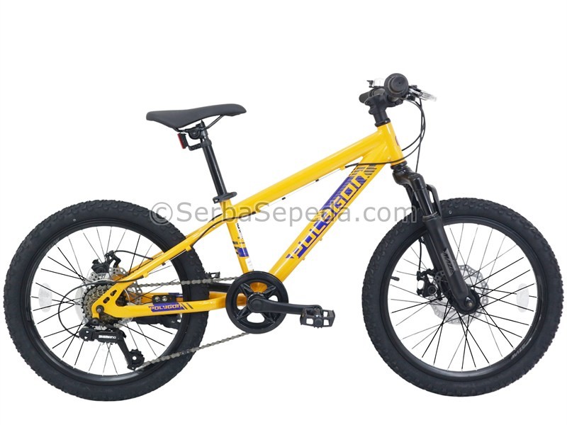 Review Sepeda Polygon Maze 20: Pilihan Terbaik untuk Anak-anak