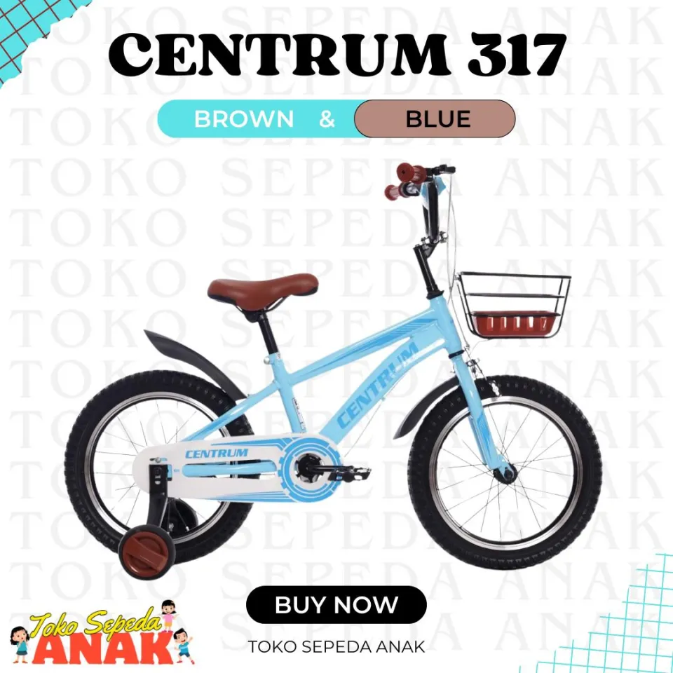 Sepeda Anak CTR 317 dari Centrum: Desain Aman dan Nyaman