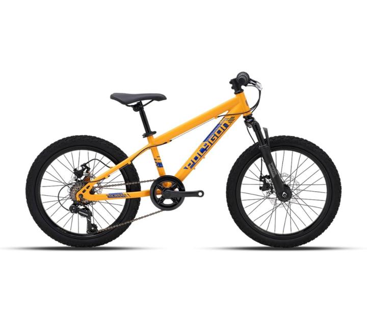 Sepeda Polygon Maze 20: Kendaraan Sepeda Gunung yang Andal